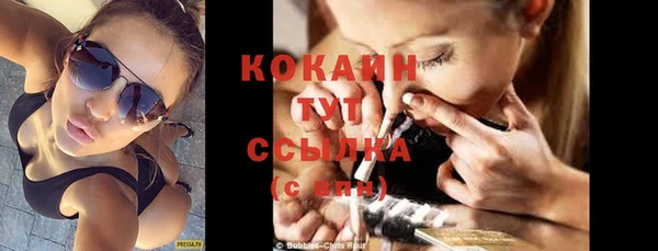 прущие грибы Каменногорск