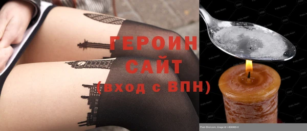 прущие грибы Каменногорск