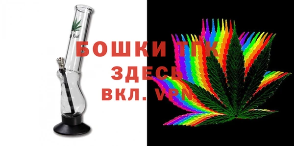 прущие грибы Каменногорск