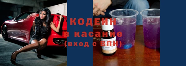 прущие грибы Каменногорск