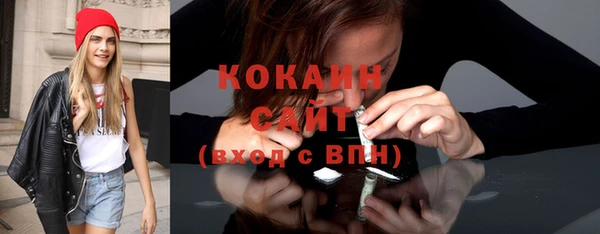 прущие грибы Каменногорск
