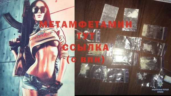 прущие грибы Каменногорск
