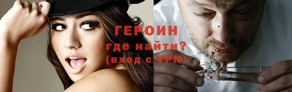 прущие грибы Каменногорск