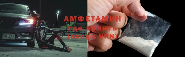 прущие грибы Каменногорск