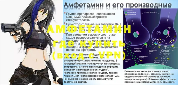 прущие грибы Каменногорск