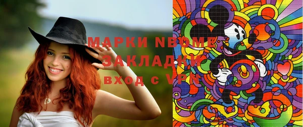 прущие грибы Каменногорск