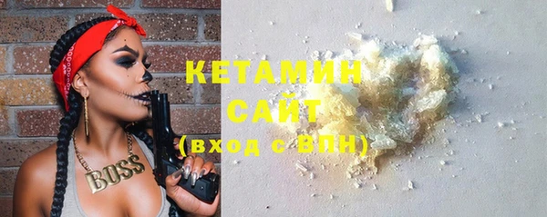 прущие грибы Каменногорск