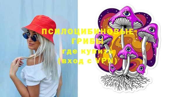 героин Каменка