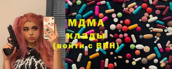 прущие грибы Каменногорск