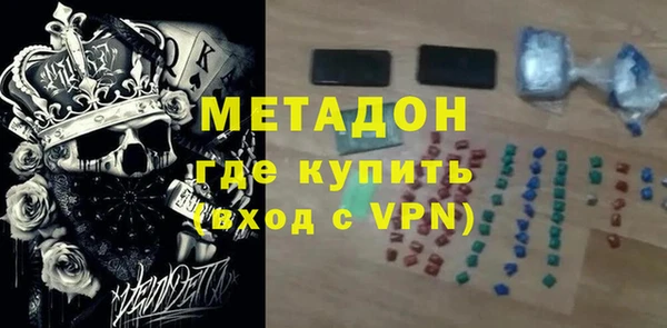 прущие грибы Каменногорск