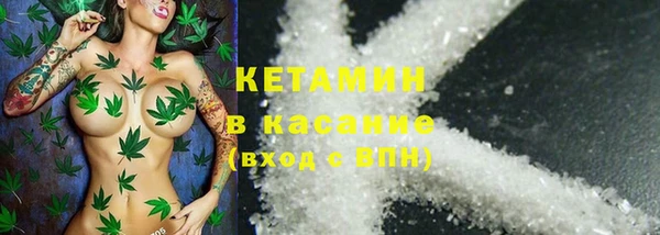 прущие грибы Каменногорск