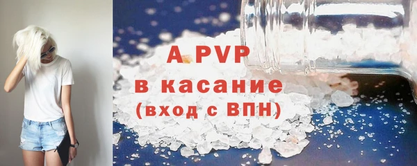 прущие грибы Каменногорск