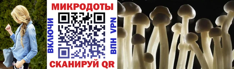 Псилоцибиновые грибы мухоморы  Долгопрудный 